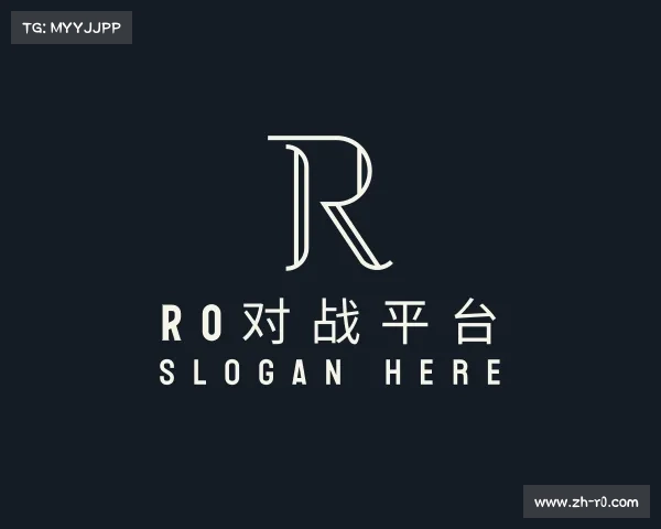 关于r0对战平台